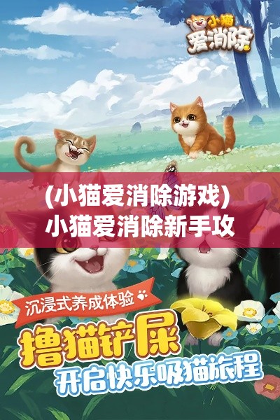 (小猫爱消除游戏) 小猫爱消除新手攻略：如何快速培养萌猫，刷新排行榜，成为消除高手！